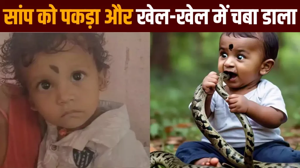बिहार में 12 महीने के बच्चे ने दांत से चबा कर सांप को मार डाला, अस्पताल में मासूम का क्या हुआ 1 navbharat times