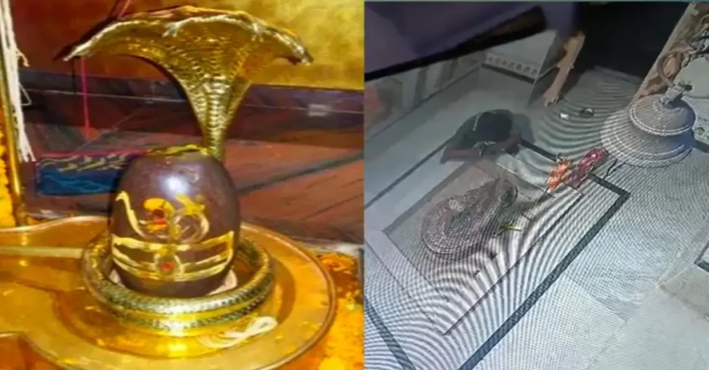 बिहार: शिवलिंग को बार-बार प्रणाम कर रहा था चोर; फिर गले में लिपटा नाग लेकर एक झटके में हो गया फरार 1 20240913 110659