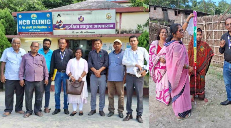 InCollage 20240905 201027250