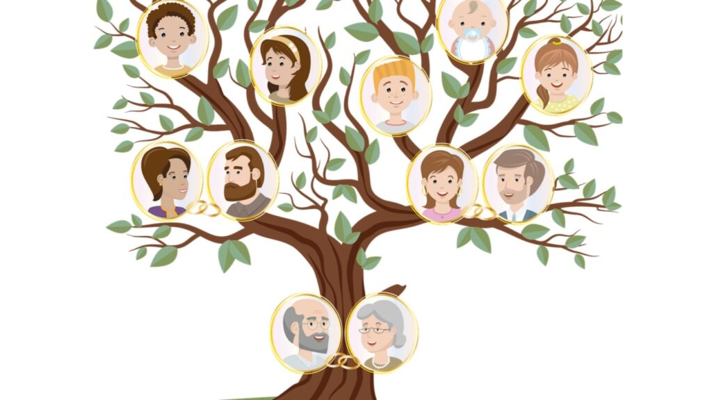 वंशावली में बहनों का नाम छिपाया तो होगी दिक्कत, भाइयों के नाम पर कब होगा खतियान; अधिकारी ने बताया 1 Picsart 24 09 09 08 44 04 969