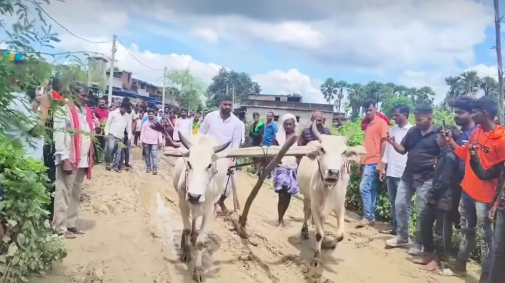 बिहार: सड़क बन गई खेत, पुरुष चलाने लगे हल-बैल और धान की रोपनी करनें लगीं महिलाएं 1 Screenshot 20240910 133726