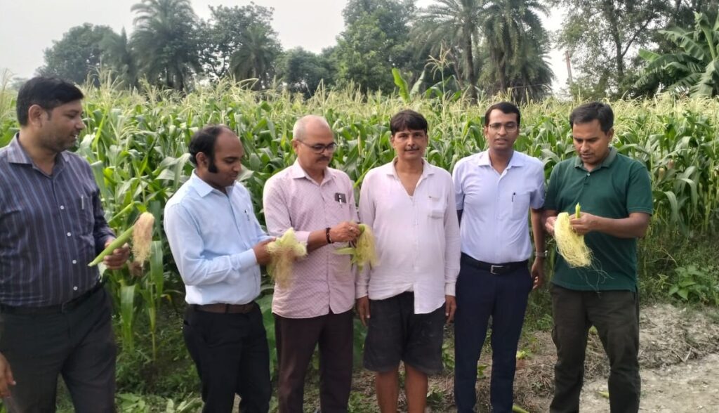 समस्तीपुर में बेबी कोर्न की खेती से बढ़ रही है किसानो की आमदनी, अधिकारियों ने भी किया निरीक्षण 1 IMG 20241014 WA0046