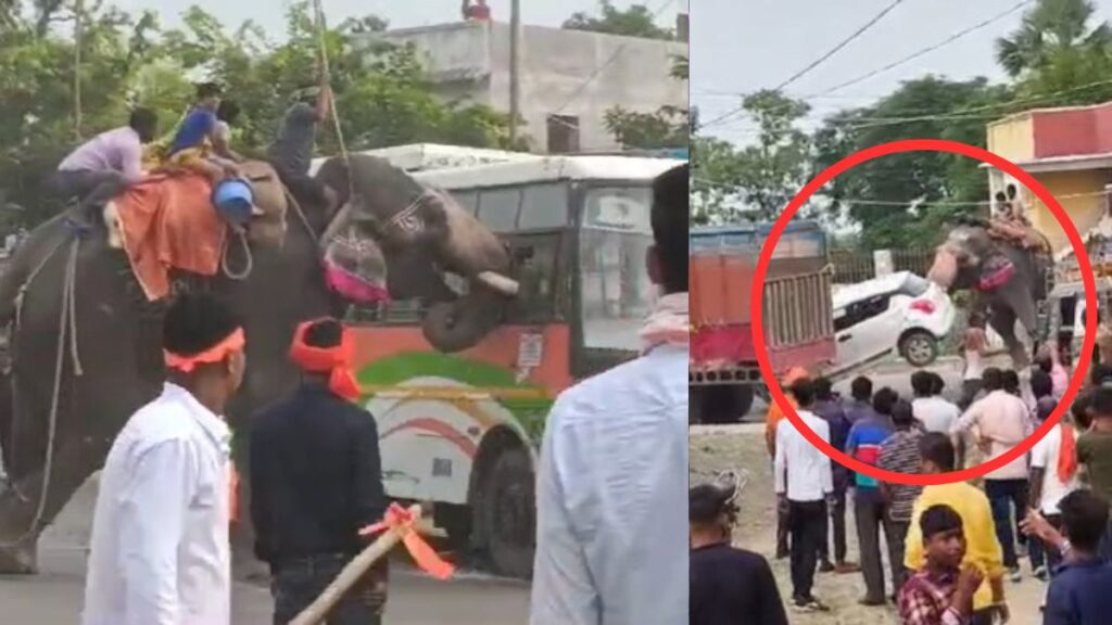 बिहार: दशहरा जुलूस में बेकाबू हाथी में मचाया उत्पात, गाड़ियों को खिलौने की तरह उठाकर फेंका; एक शख्स की गई जान 1 untitled 21 1728747991