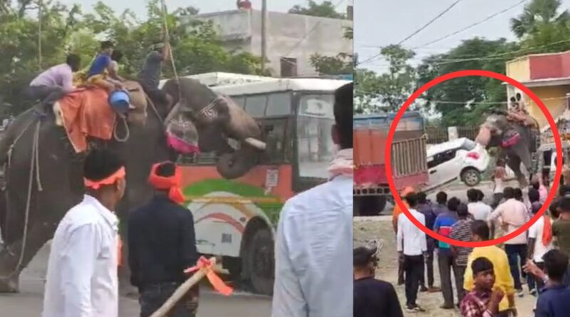 बिहार: दशहरा जुलूस में बेकाबू हाथी में मचाया उत्पात, गाड़ियों को खिलौने की तरह उठाकर फेंका; एक शख्स की गई जान 1 untitled 21 1728747991