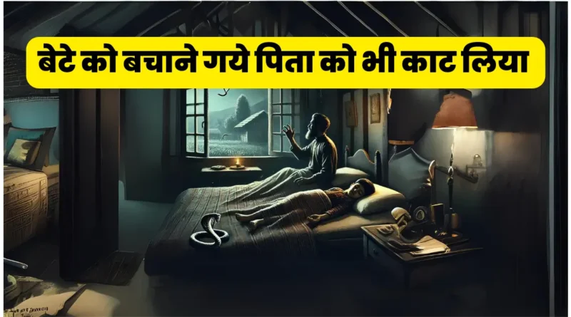 बिहार: एक ही बिस्तर पर सोया था परिवार, सांप के काटने से बाप-बेटे की मौत; बच गई बेटी 1 बेटे को बचाने गये पिता को भी काट लिया 20241016 182801 0000