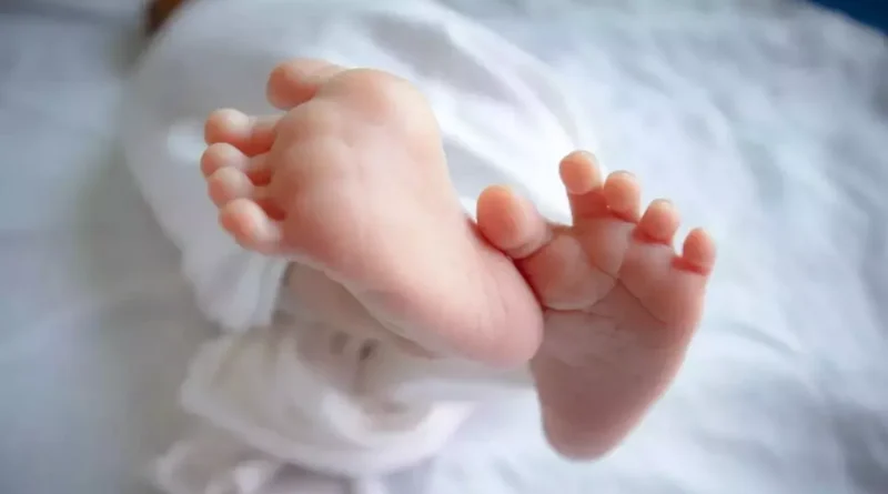 बेटा हुआ तो मनाया जश्न, घर पहुंची तो निकली बेटी; बिहार के अस्पताल में अदला-बदली का गजब खेल 1 15 01 2023 new born baby 23296456