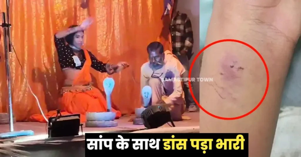 बिहार: जहरीले सांप के साथ डांस करना पड़ा भारी, लाइव प्रोग्राम में कोबरा ने डसा, मच गया हड़कंप 1 20241111 122808