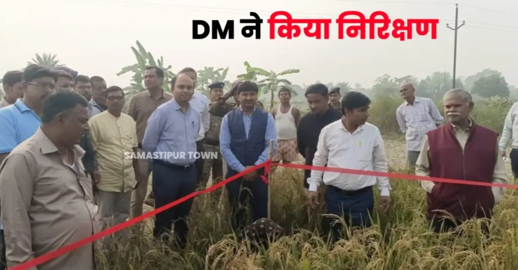अगहनी धान के फसल कटनी प्रयोग का समस्तीपुर के DM ने किया निरीक्षण 1 20241123 185635