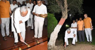 InCollage 20241101 102425913