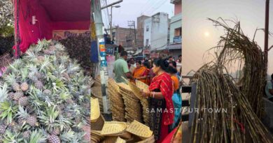 InCollage 20241105 100115599