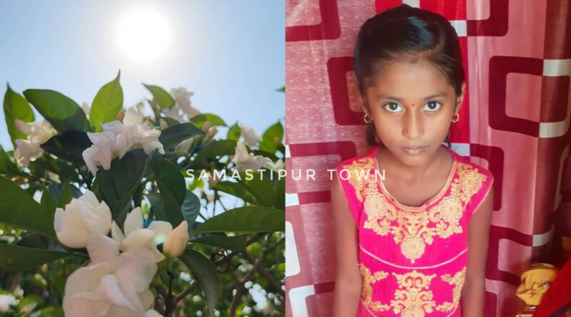 InCollage 20241107 142920871