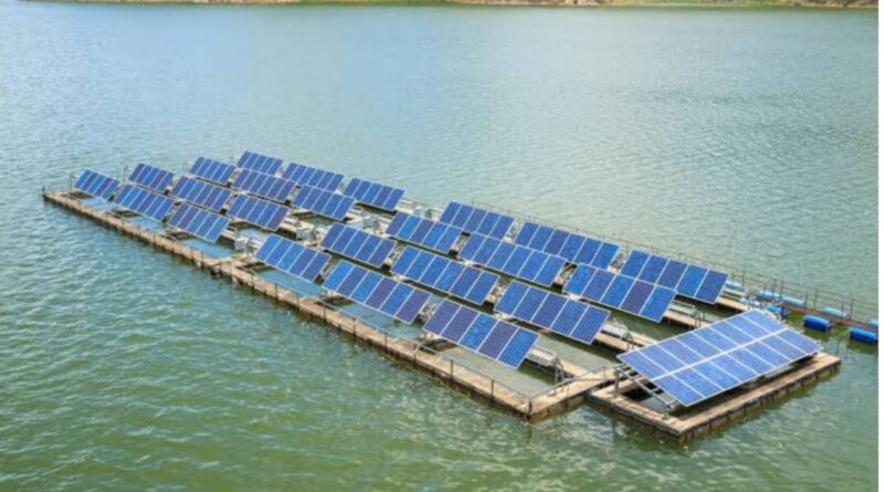 नीचे मछली और ऊपर बिजली; समस्तीपुर में बनेगा पानी पर तैरता बिजली घर, 10 हजार घर होंगे रोशन 1 Picsart 24 11 04 19 55 55 611