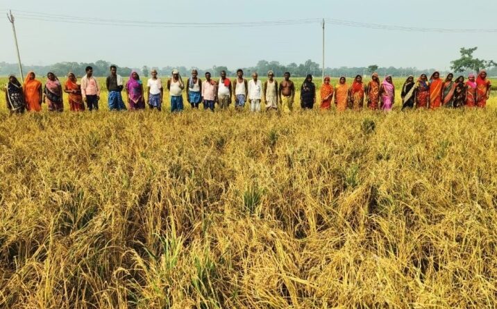 file 2024 11 02T18 00 54 1024x768 1