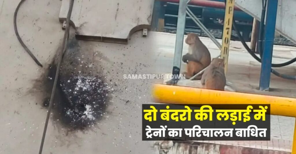 समस्तीपुर जंक्शन पर दो बंदरों की लड़ाई में ट्रेन परिचालन बाधित, अन्य कई ट्रेनें भी अगल-बगल के स्टेशन पर रही खड़ी 1 IMG 20241207 WA0075