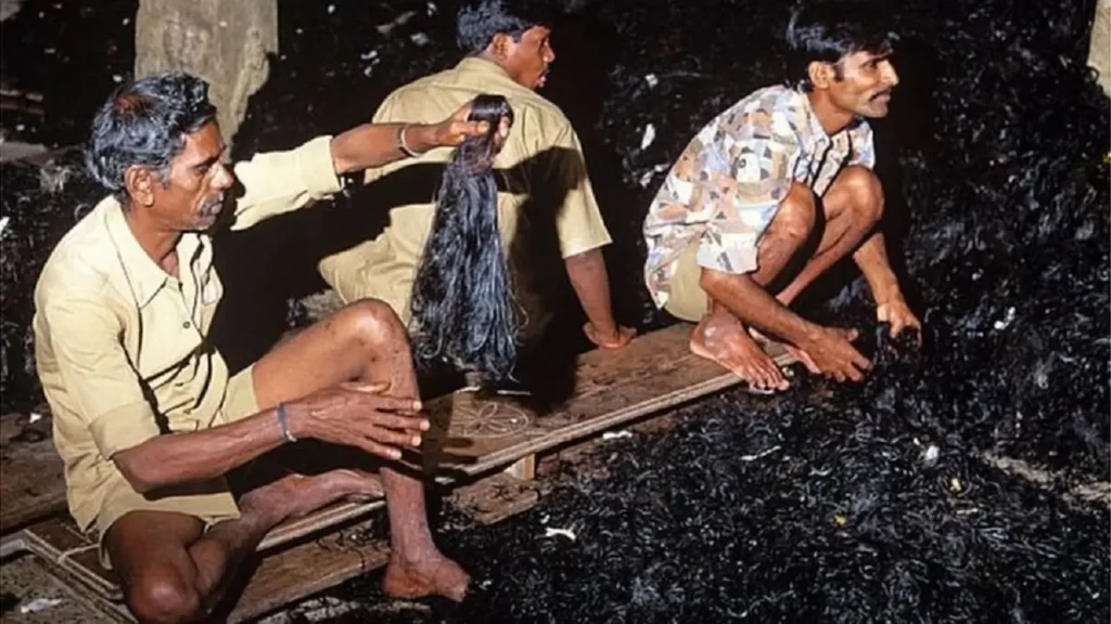 ट्रक के तहखाने में 80 लाख के 'इंसानी बाल', क्यों बिहार के रास्ते चीन ले जा रहे थे तस्कर, जानें 1 Hair Smuggling