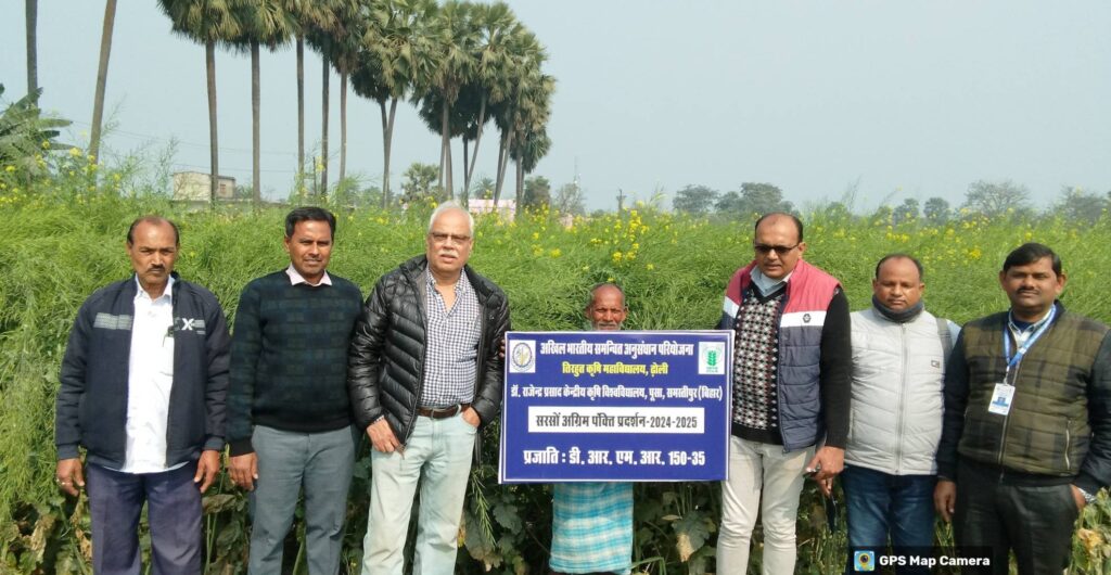 सरसों की प्रभेद डीआरएमआर-150-35 का केंद्रीय कृषि विश्वविद्यालय पूसा के वैज्ञानिकों ने किया निरीक्षण 1 IMG 20250131 WA0003