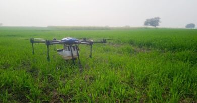 file 2025 01 09T01 09 52 1024x768 1