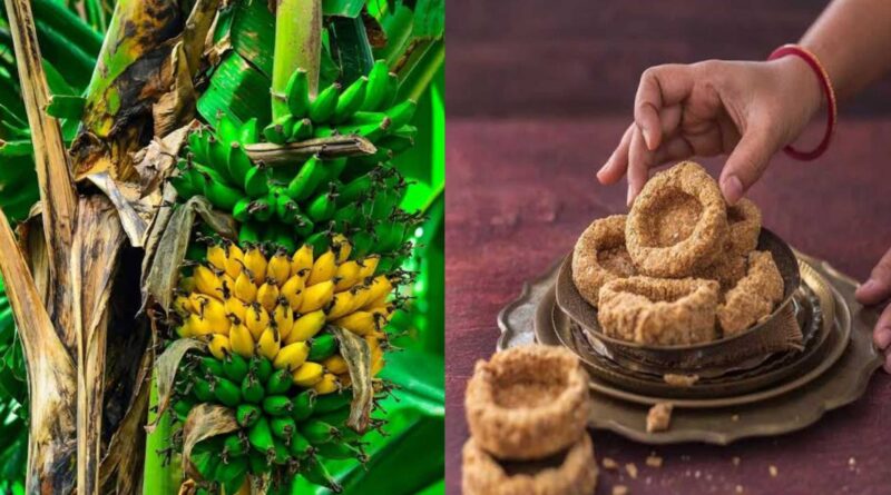 InCollage 20250211 181412139