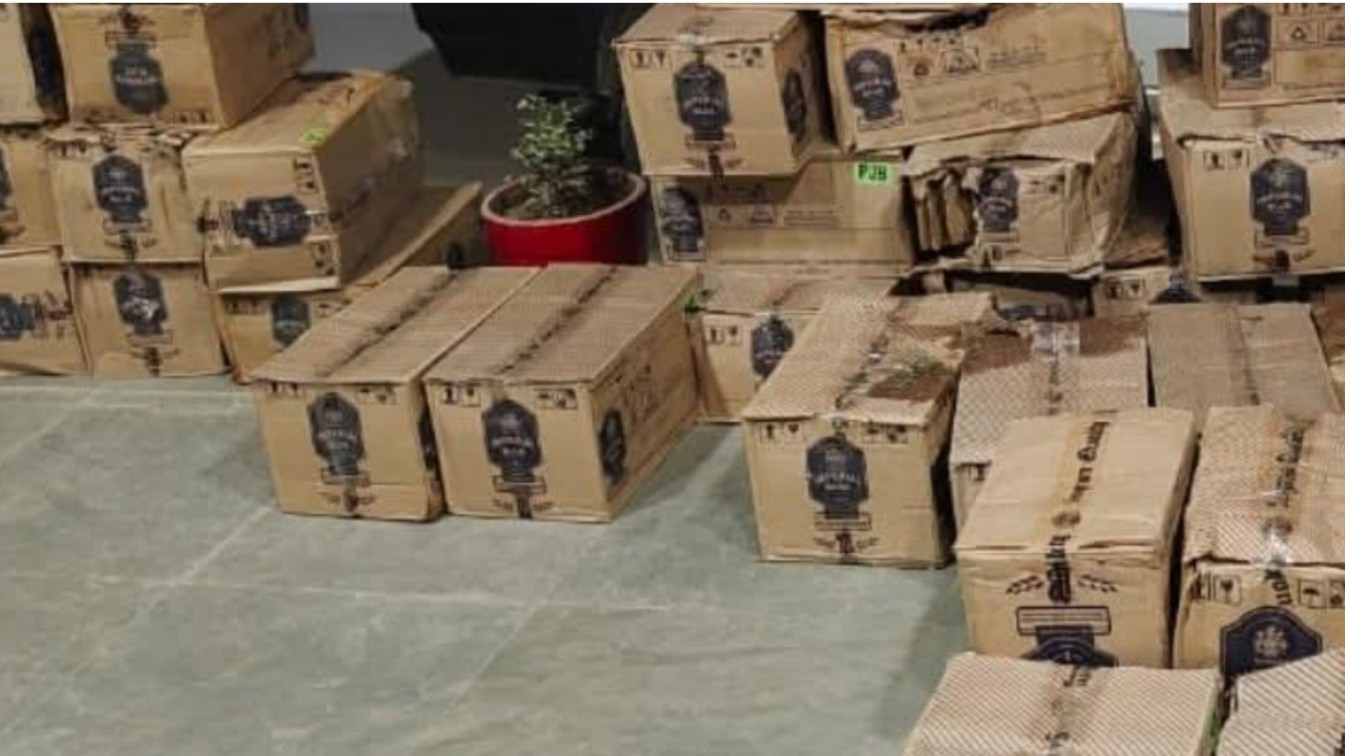 Picsart 25 02 18 08 38 36 495