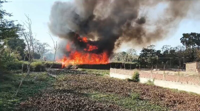 VideoCapture 20250214 073738