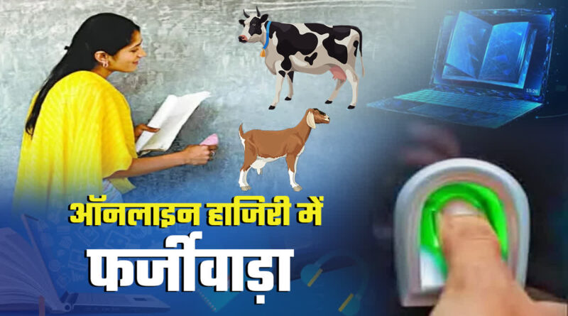 1200 675 23829813 thumbnail 16x9 bababa