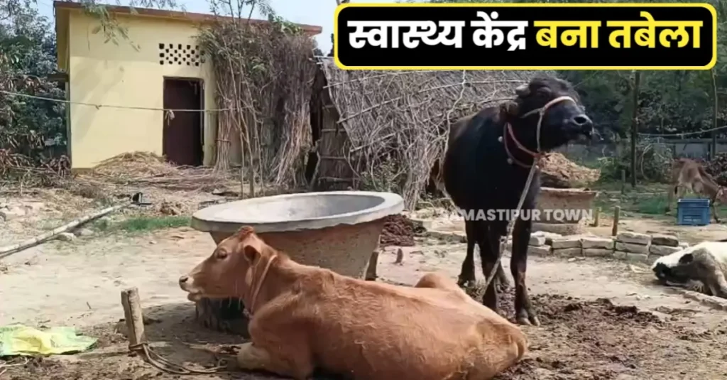 प्राथमिक उप-स्वास्थ्य केंद्र पर ग्रामीणों ने कर रखा है अतिक्रमण, पहुंच पथ नहीं होने से लोगों को स्वास्थ्य सुविधा का नहीं मिल पा रहा है लाभ 1 20250305 201610