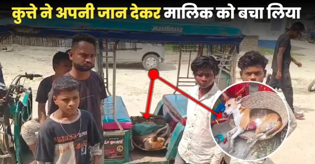 समस्तीपुर: मरते-मरते वफादारी निभा गया कुत्ता, अपनी जान देकर मालिक को बचाया, गोली लगने से हुई मौ'त 1 IMG 20250320 WA0106
