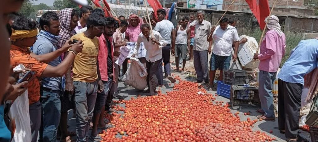 समस्तीपुर में 1KG टमाटर का 1 रुपया भी नहीं मिल रहा, किसानों ने सड़कों पर फेंकी 50 क्विंटल फसल, बोले- "अब कर्ज चुकाने, बेटी की शादी की चिंता" 1 FB IMG 1745546571309