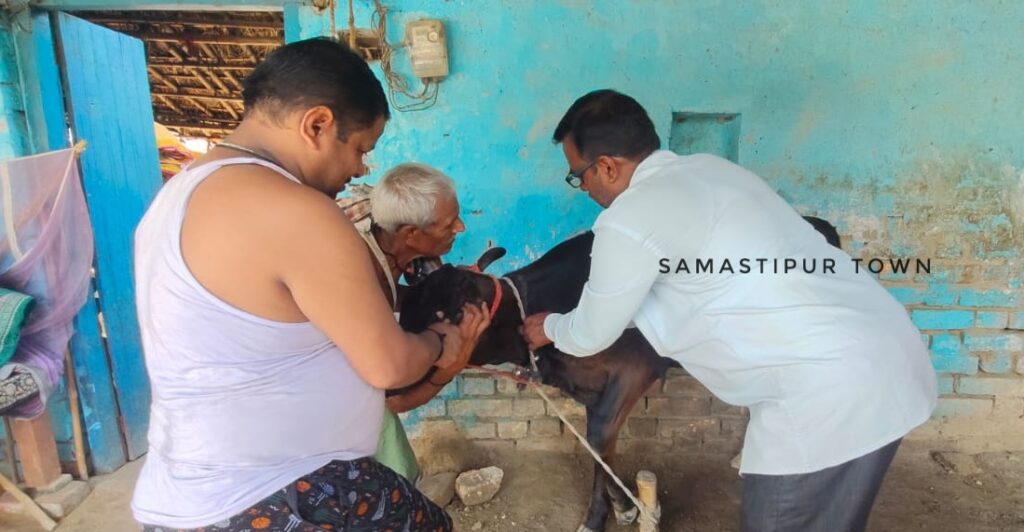 विभूतिपुर में पशुओं को बांझपन से बचाने को दिया जा रहा ब्रूसेला टीका 1 IMG 20250423 WA0015