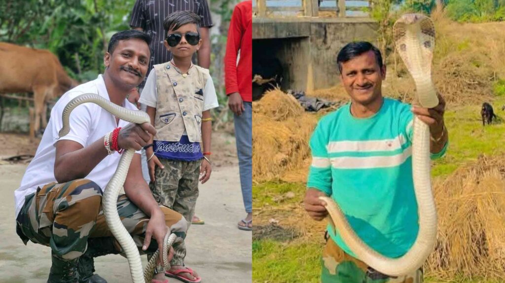 सांपों की जिंदगी बचाने वाले को सांप ने काटा, समस्तीपुर के जय सहनी की हो गई मौत 1 InCollage 20250502 092942193