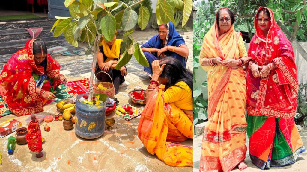 सुहागिनों ने वट वृक्ष की पूजा-अर्चना कर किया पति के दीर्घायु होने की कामना 1 InCollage 20250526 174002940