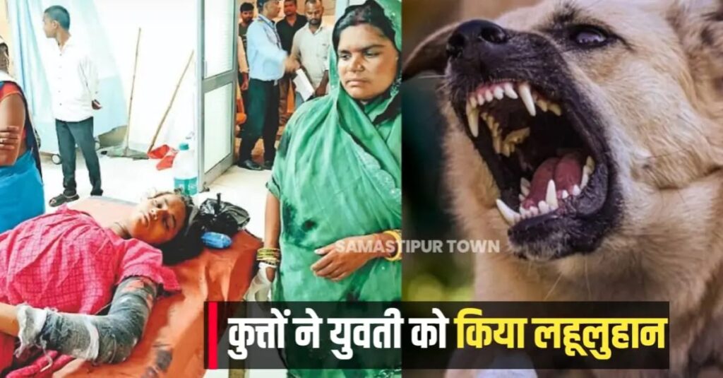 हसनपुर में आवारा कुत्तों के झुंड ने युवती पर हमला कर गंभीर रूप से किया ज'ख्मी, पहले भी ले चुका कई जान 1 IMG 20250621 WA0010