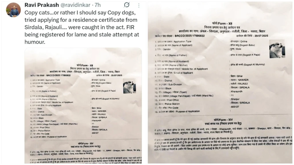 बिहार: कुत्ते के नाम से आवासीय प्रमाण पत्र के लिए आवेदन, गुस्से में भड़के नवादा DM ने लिया सख्त फैसला, जानें 1 Picsart 25 07 29 21 27 43 839