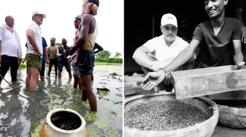 कीचड़ भरे तालाब में राहुल गांधी उतरे, निकाला मखाना; कटिहार में किसानों की जानी आपबीती 1 20250823 191621