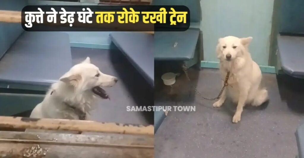 यात्री डरकर भागे, रेलकर्मियों के छूटे पसीने... समस्तीपुर मंडल के इस स्टेशन पर कुत्ते ने डेढ़ घंटे तक रोके रखी ट्रेन, फिर... 1 IMG 20250819 WA0064
