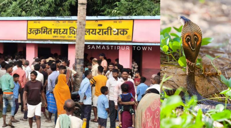 InCollage 20250809 081321968