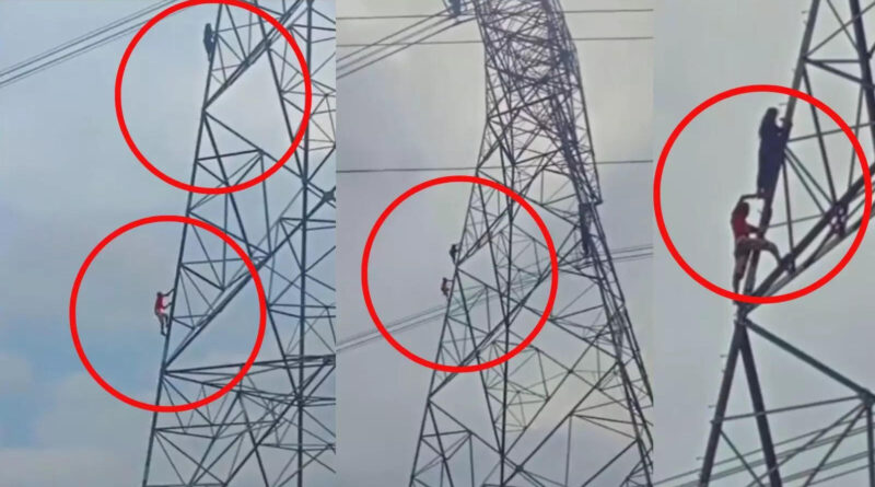 tower par chadi nabalig 1