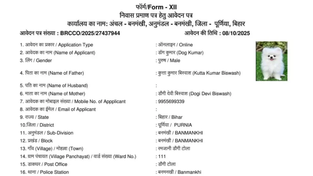 डॉगी कुमार के नाम से निवास प्रमाण पत्र का आवेदन, बिहार में फिर आया अनोखा मामला; FIR दर्ज 1 Dog Kumar 1761145597512