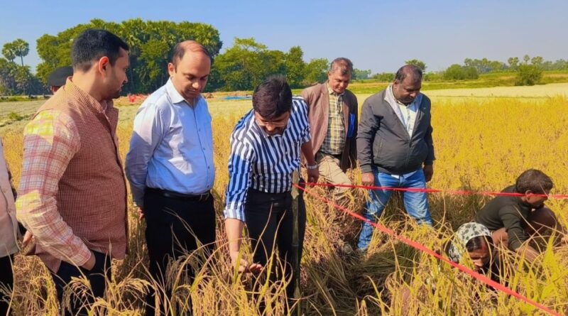 समस्तीपुर डीएम ने किया धान कटनी का आकलन, पांच से सात दिन बाद सूखे दाने का किया जाएगा वजन 1 IMG 20251120 WA0007