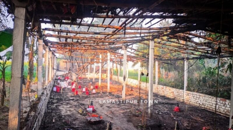 poultry farm 1765794584190