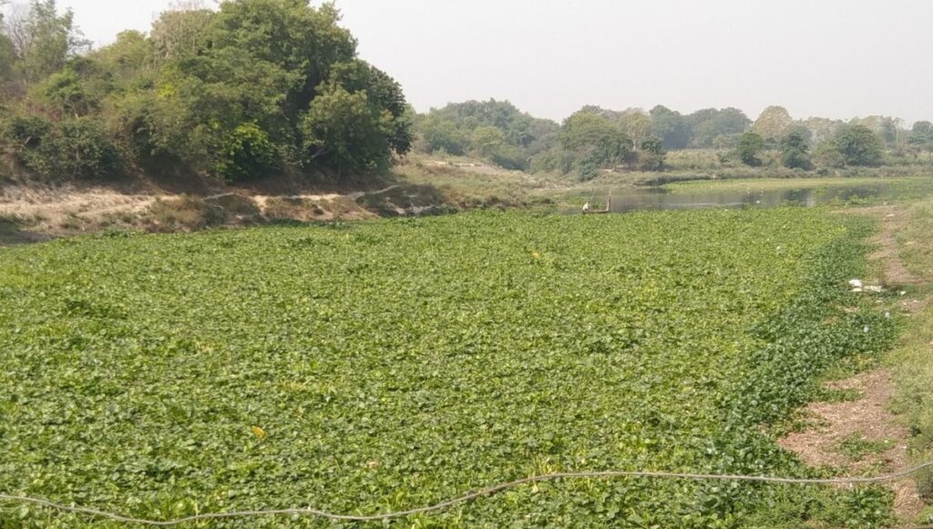 समस्तीपुर : आम लोग तो दूर, पशुओं के स्नान के योग्य भी नहीं है नदी का पानी; मांगुर, गरई, सिंघी मछलियों की प्रजातियां पूरी तरह समाप्त 1 7c7ef796 4efb 4db4 9ca5 03fb74067bd8 1747195878265