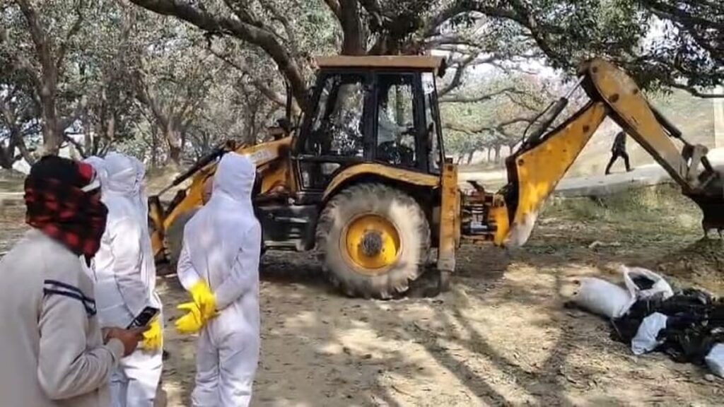 सावधान! समस्तीपुर के पड़ोसी जिले दरभंगा में बर्ड फ्लू की पुष्टि, एक साथ 10 हजार कौआ की मौत; JCB से गढ्ढा खोदकर दफनाया 1 darbhanga