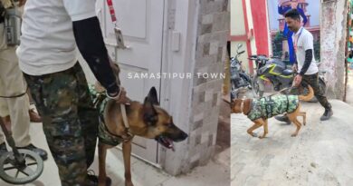 InCollage 20260203 095954445