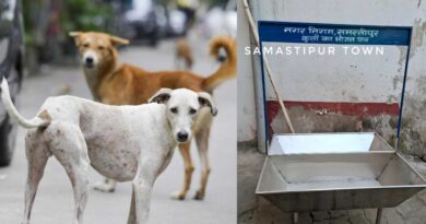 InCollage 20260208 113041401