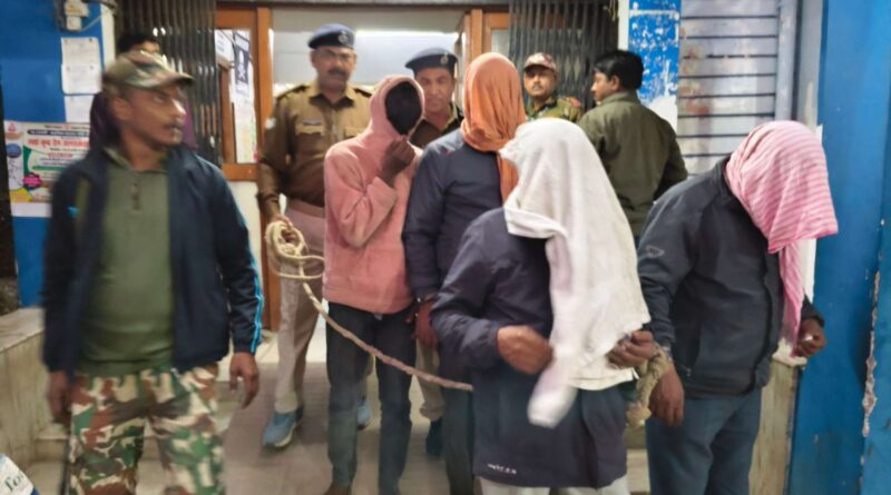 b7f8fec0 70cf 40b0 a26d b726a6f37bb6 1771259231776 1