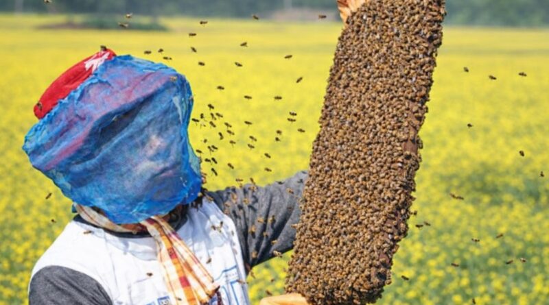 file 000000008d7c71faa14b701d24019f58