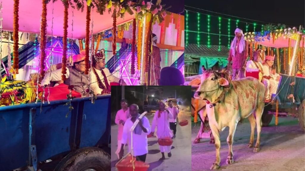 बैलगाड़ी पर दूल्हा, घोड़ों की अगुवाई; बेगूसराय से समस्तीपुर तक सभी रह गए हैरान, विधायक भी बने बराती 1 CoverImage735dbdb27d5244eeb890d2da5f9c6b3c367