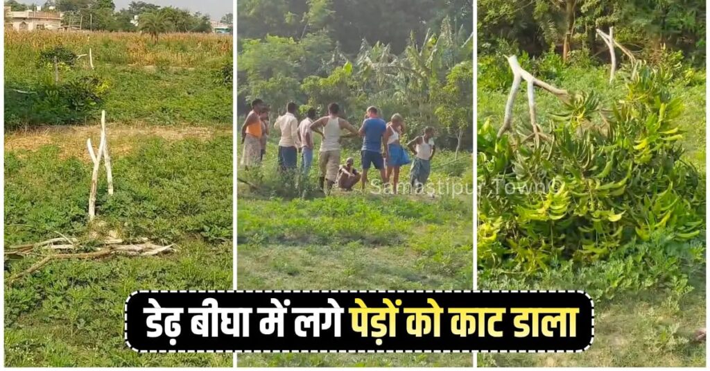 समस्तीपुर : डेढ़ बीघा जमीन में लगे आम और कटहल के हरे-भरे पेड़ को काटकर बदमाशों ने किया नुकसान 1 IMG 20260516 WA0016