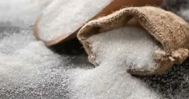 chini sugar