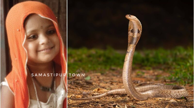 समस्तीपुर में सांप के काटने से 9 साल के बच्ची की मौ'त, झाड़-फूंक के चक्कर में परिजनों ने गंवाया समय 1 InCollage 20260620 101842702